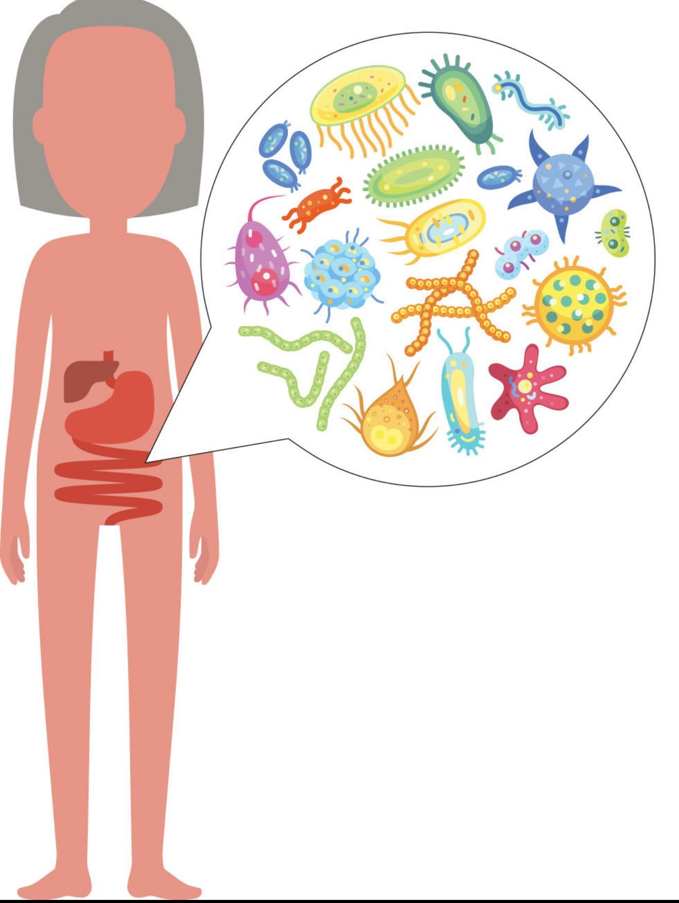 Spanish infographic about probiotics with illustrated gut, yogurt, sauerkraut, and kombucha on a pastel background