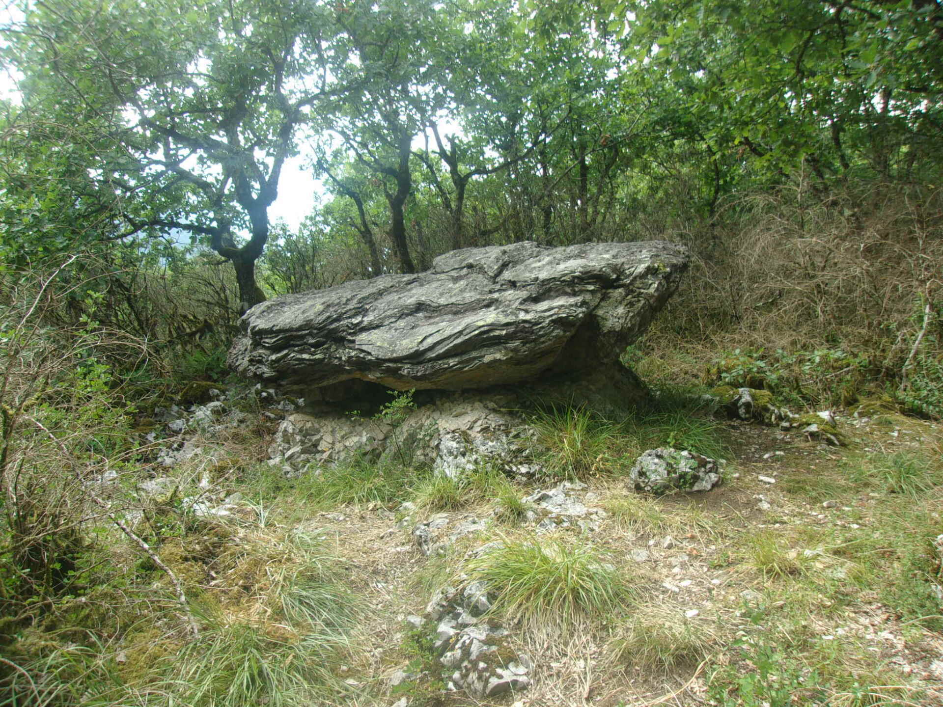 Grosse pierre dans la nature