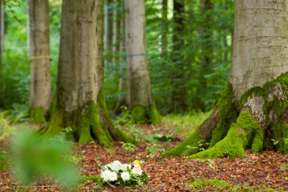 Bestattungen Wolters