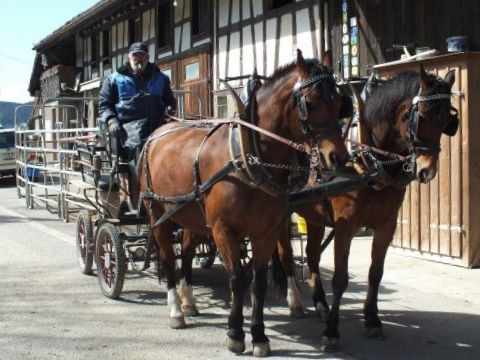 Ein Mann lenkt eine Pferdekutsche auf einer Strasse mit einem Fachwerkhaus im Hintergrund. Zwei braune Pferde.