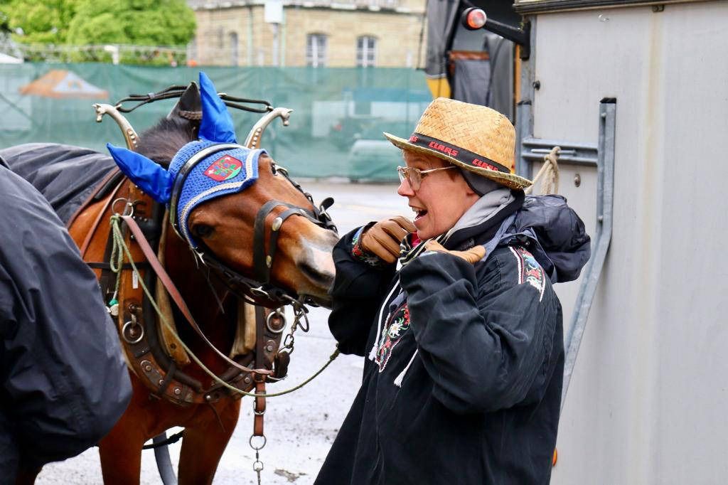 Eine Frau mit Strohhut füttert ein Pferd. Das Pferd ist angespannt und trägt blaue Ohrenschützer.