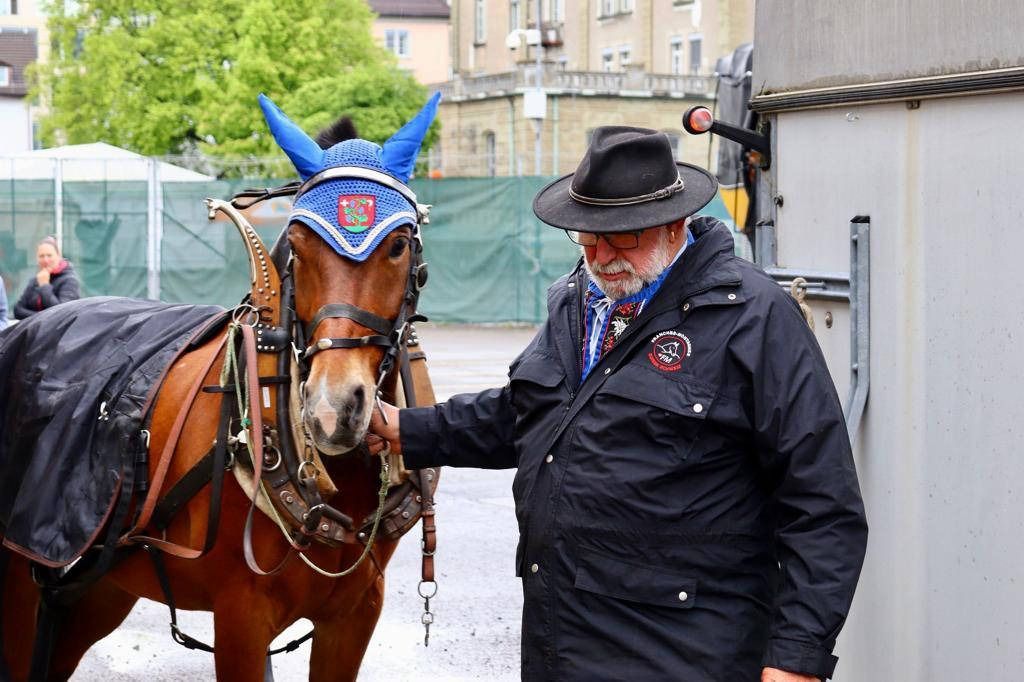 Mann streichelt ein Pferd mit dekorativer blauer Kopfbedeckung und Geschirr; im Freien.