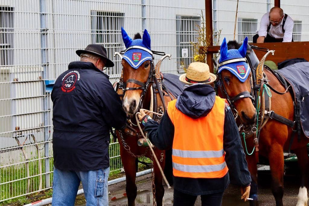Zwei Pferde mit blauen Ohrenhauben werden von zwei Personen in der Nähe eines Gebäudes gehalten; eine dritte Person arbeitet in der Nähe.
