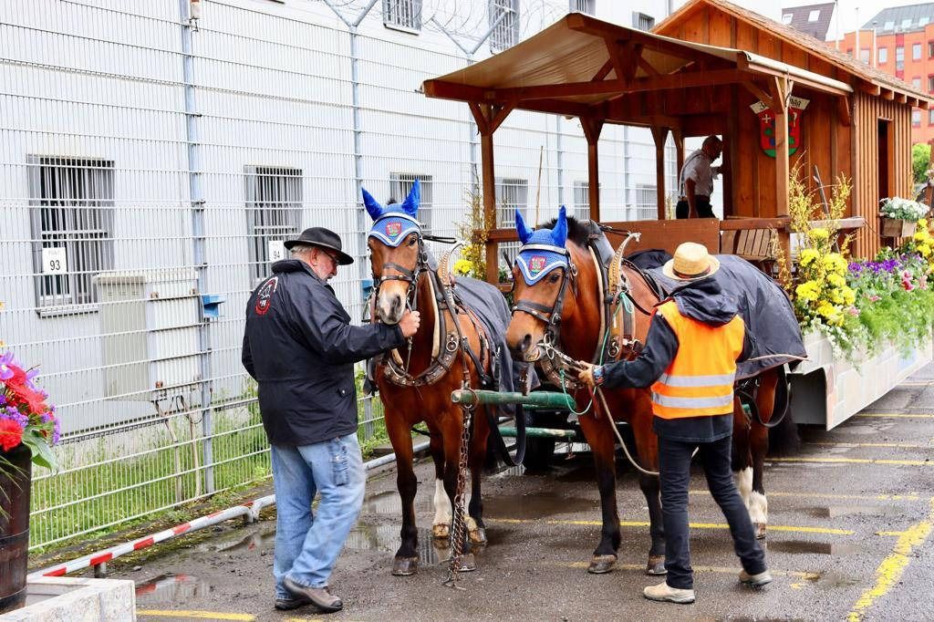 Zwei Pferde im Geschirr, Menschen in der Nähe. Eine Kutsche mit Blumen, im Hintergrund ein Gebäude.