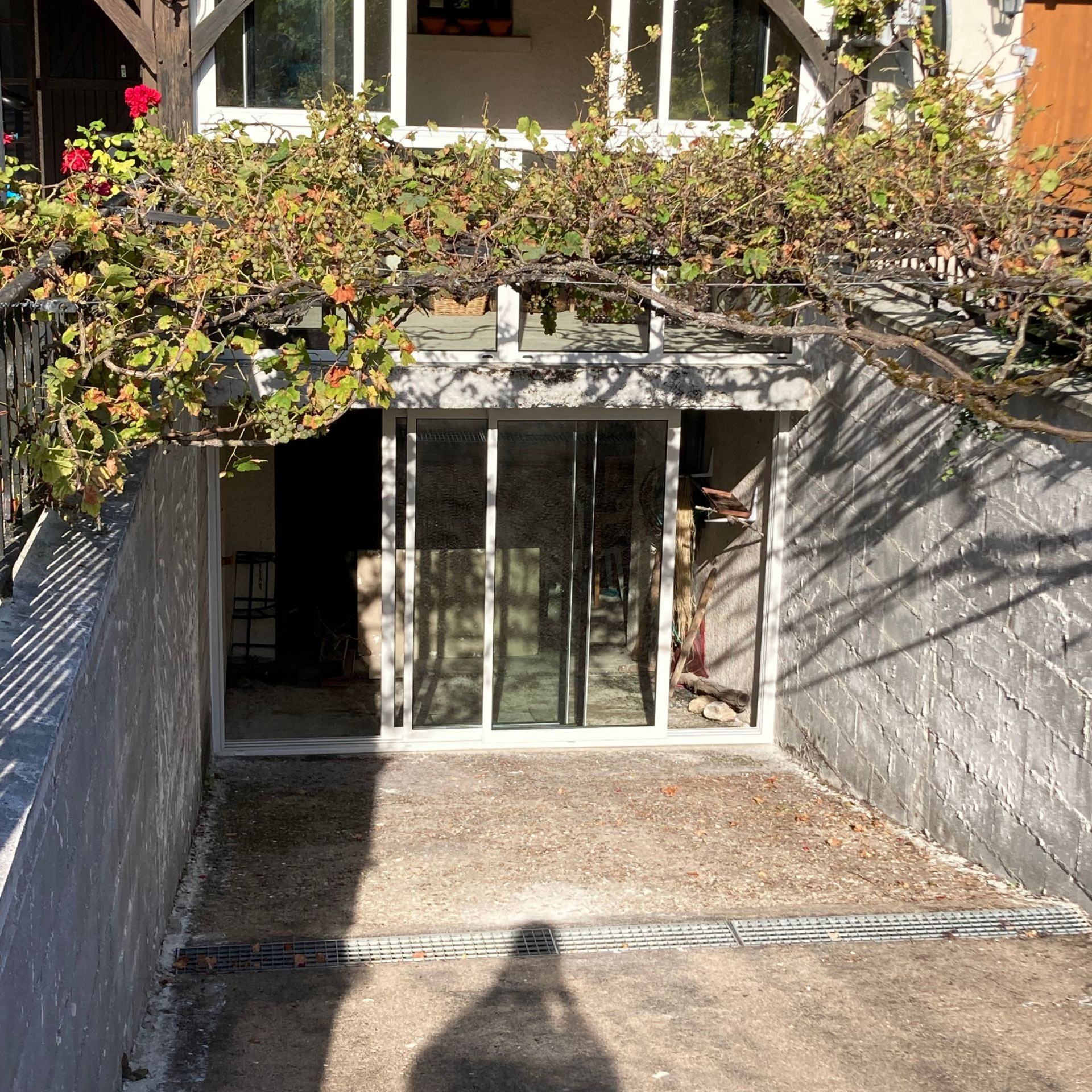 Entrée d'un sous-sol avec portes vitrées, encadrée par une structure en béton. Des vignes grimpent au-dessus.
