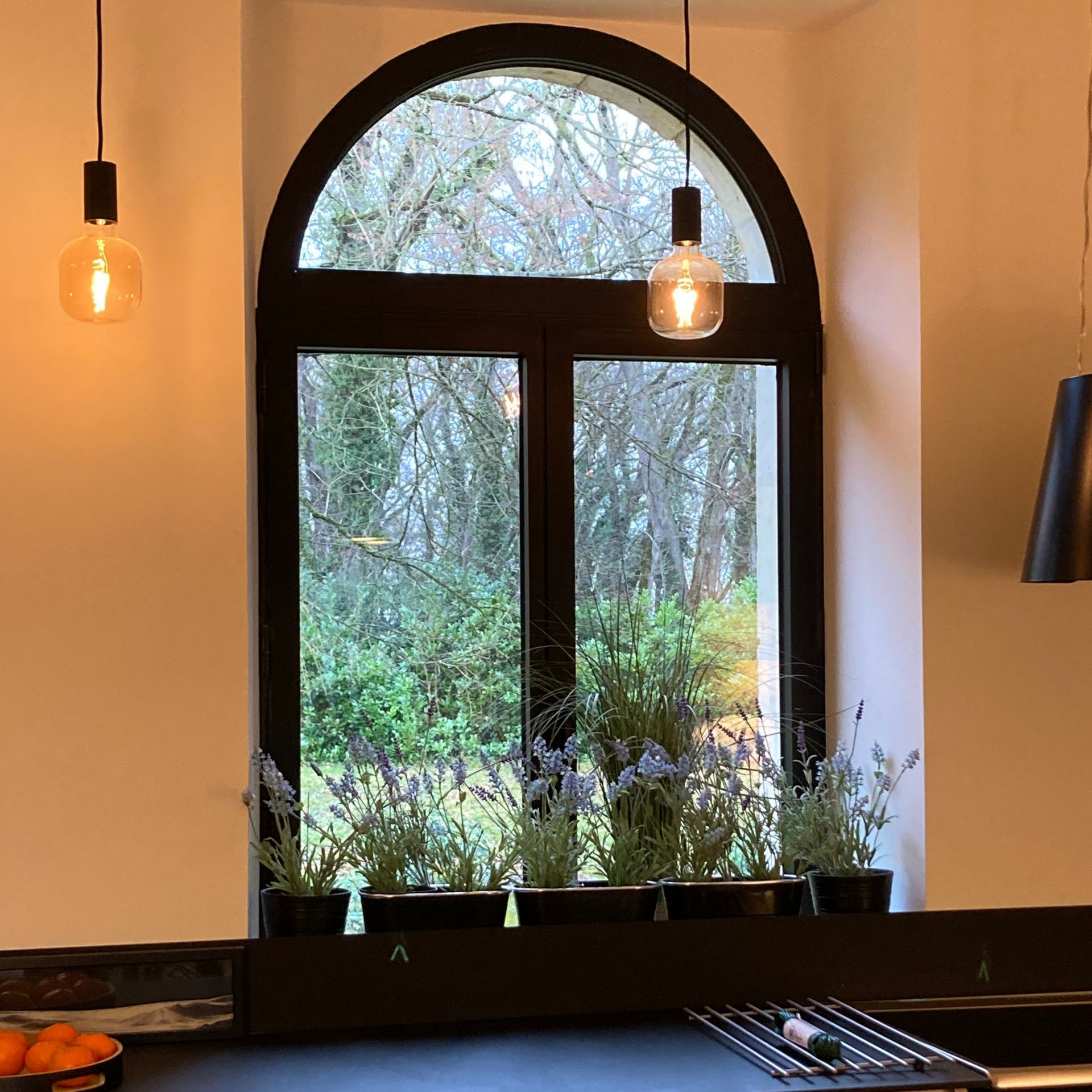 Fenêtre cintrée à cadre noir, plantes et guirlandes lumineuses. Vue sur les arbres à l'extérieur.