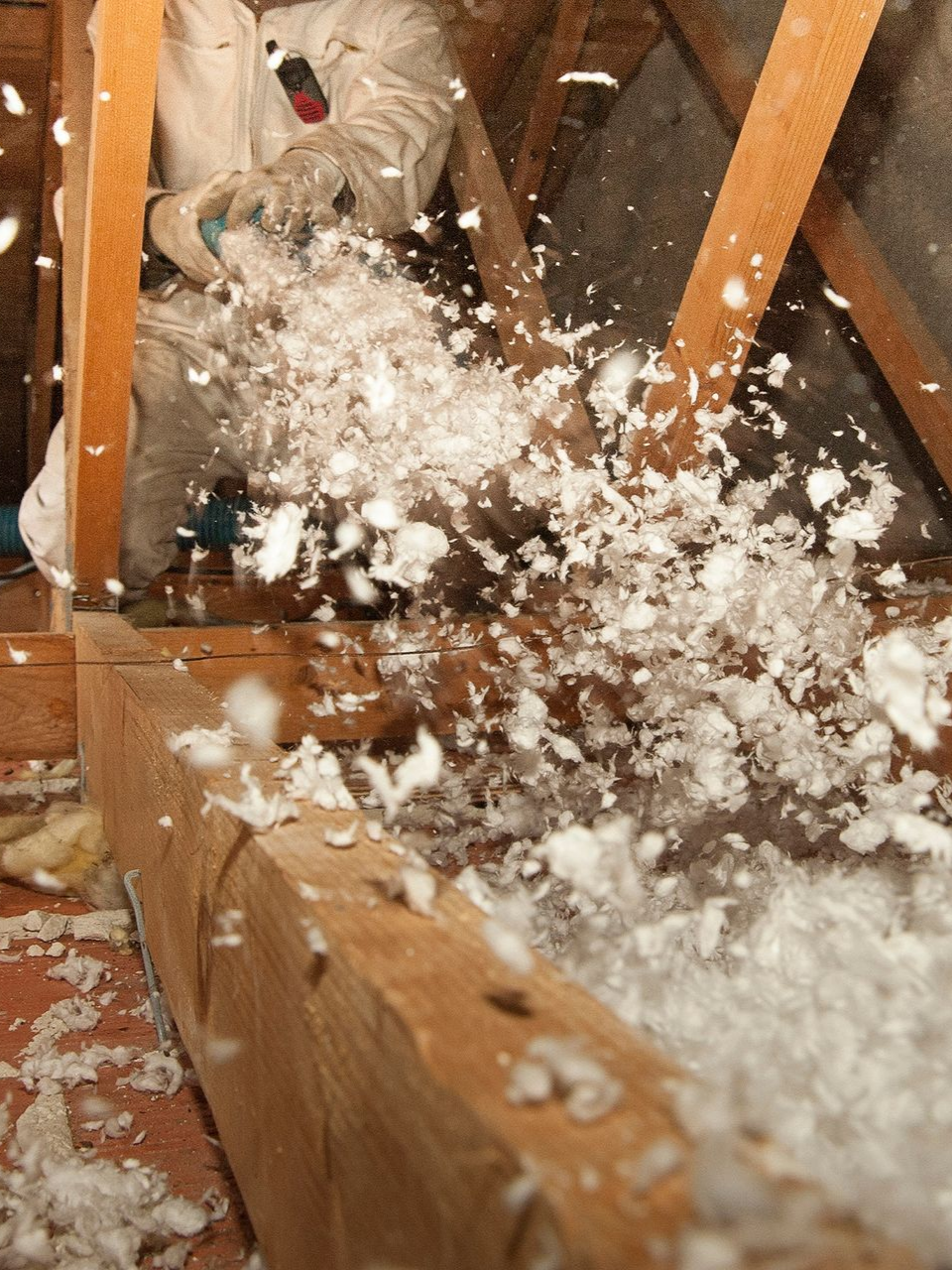 Un chat assis au milieu d'une explosion de plumes blanches à l'intérieur d'une structure en bois endommagée