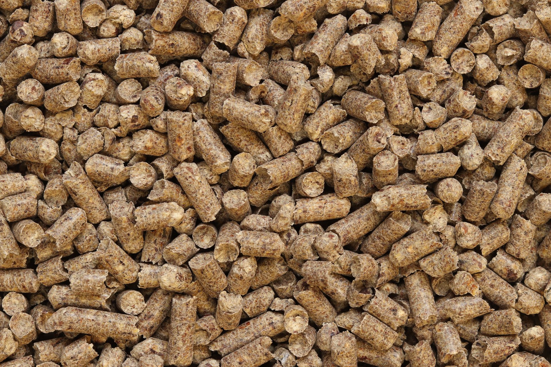 Gros plan de nombreux granulés de bois bruns.