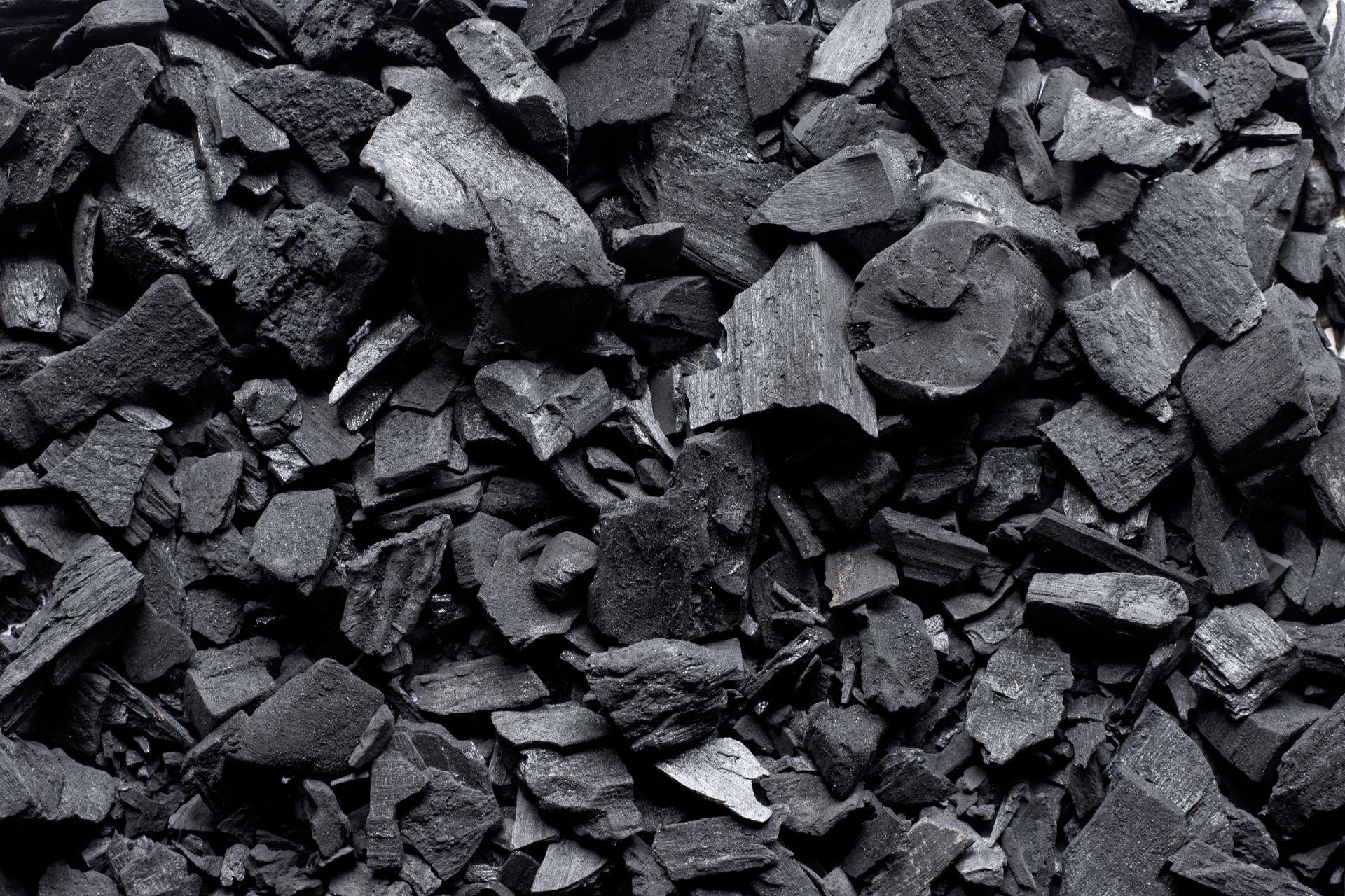 Morceaux de charbon de bois foncé dispersés, texturés et irréguliers.