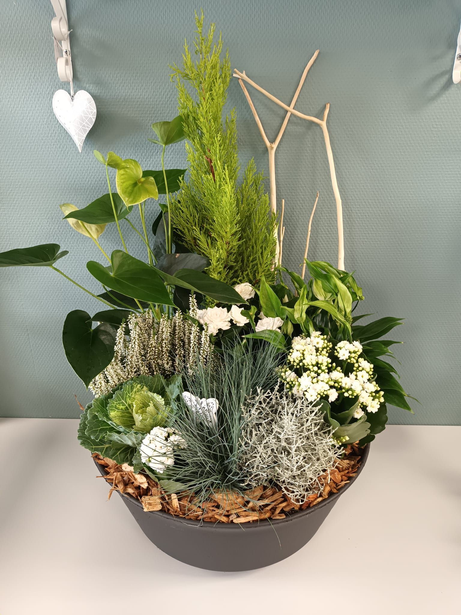 Coupe de plantes d'extérieur