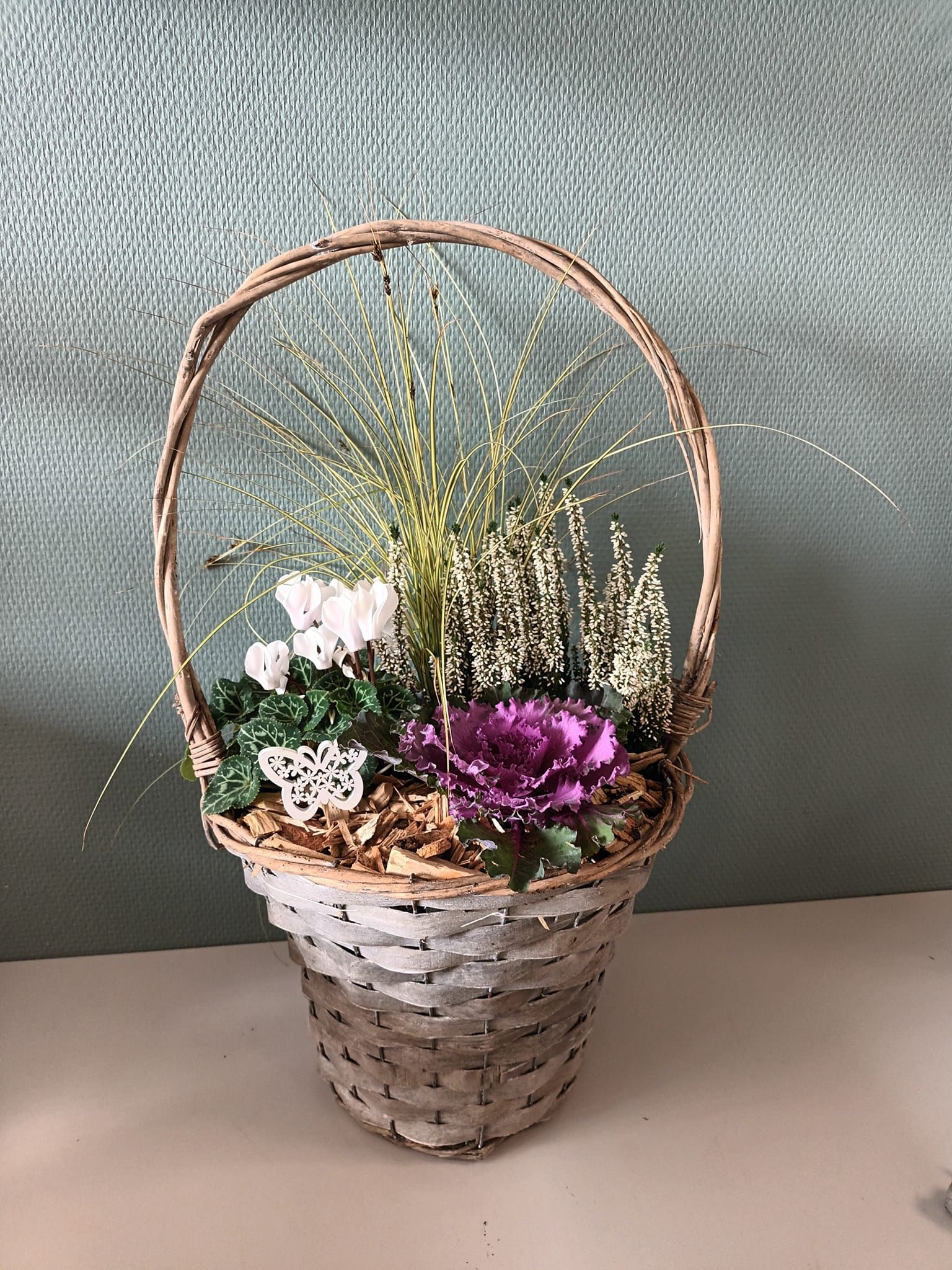 Composition de plantes