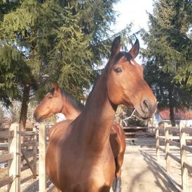 ERGOTHERAPIE AM MÜHLGRABEN in Leipzig