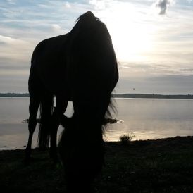 ERGOTHERAPIE AM MÜHLGRABEN in Leipzig