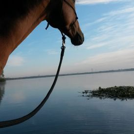 ERGOTHERAPIE AM MÜHLGRABEN in Leipzig