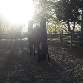 ERGOTHERAPIE AM MÜHLGRABEN in Leipzig
