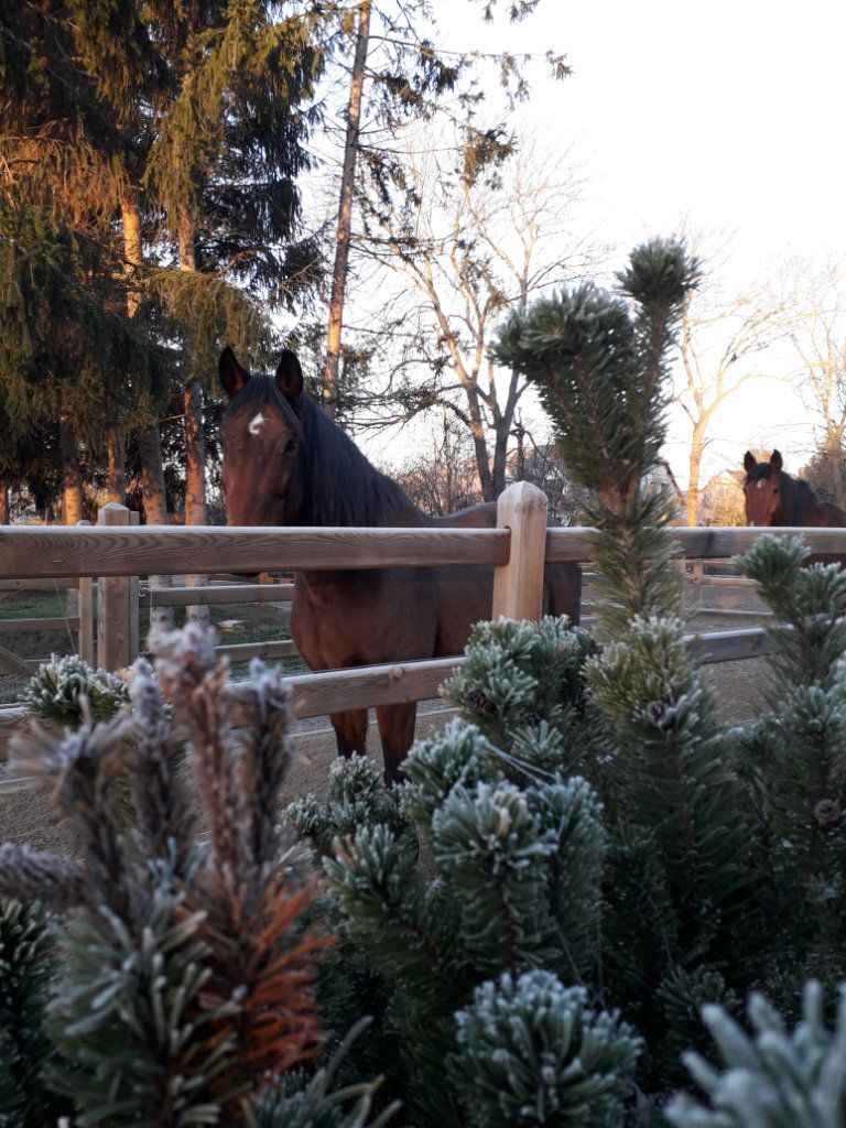 ERGOTHERAPIE AM MÜHLGRABEN in Leipzig