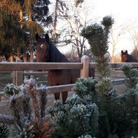 ERGOTHERAPIE AM MÜHLGRABEN in Leipzig