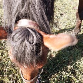 ERGOTHERAPIE AM MÜHLGRABEN in Leipzig