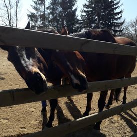 ERGOTHERAPIE AM MÜHLGRABEN in Leipzig