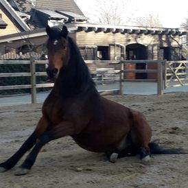 ERGOTHERAPIE AM MÜHLGRABEN in Leipzig