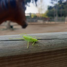 ERGOTHERAPIE AM MÜHLGRABEN in Leipzig
