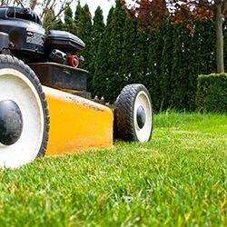 Gärtnerei Petermann |Buochs