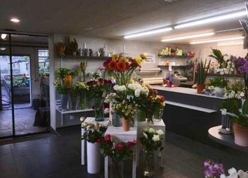 Gärtnerei Petermann |Buochs