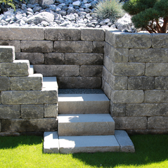 Gärtnerei Petermann |Buochs