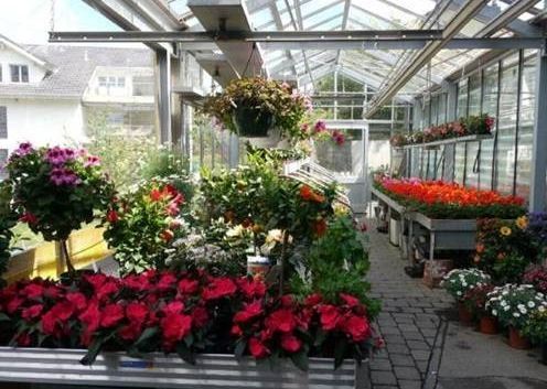 Gärtnerei Petermann |Buochs