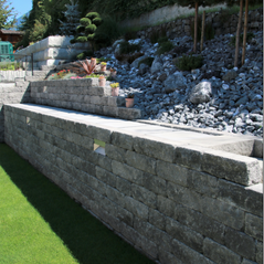 Gärtnerei Petermann |Buochs