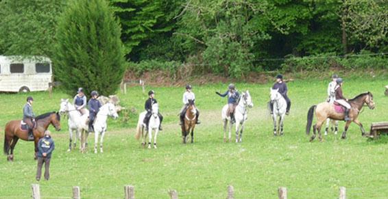 Centres équestres, équitation - Compétitions