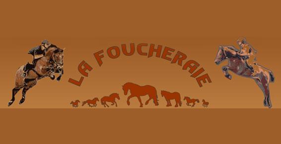 Centre Equestre Poney-Club La Foucheraie - 20 chevaux