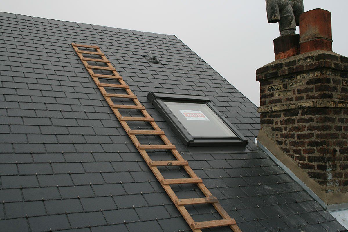 Photo de réalisation Velux toiture noir & echelle