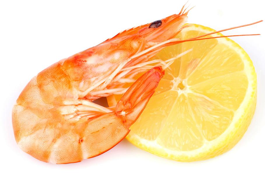 Crevettes Crevettes