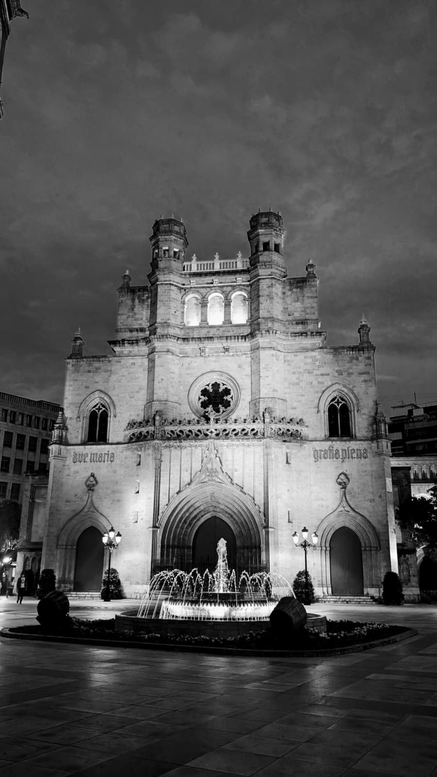Vista nocturna en blanco y negro de una catedral histórica iluminada con una fuente enfrente.