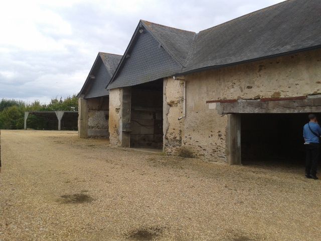 Corps de ferme avec toiture noire