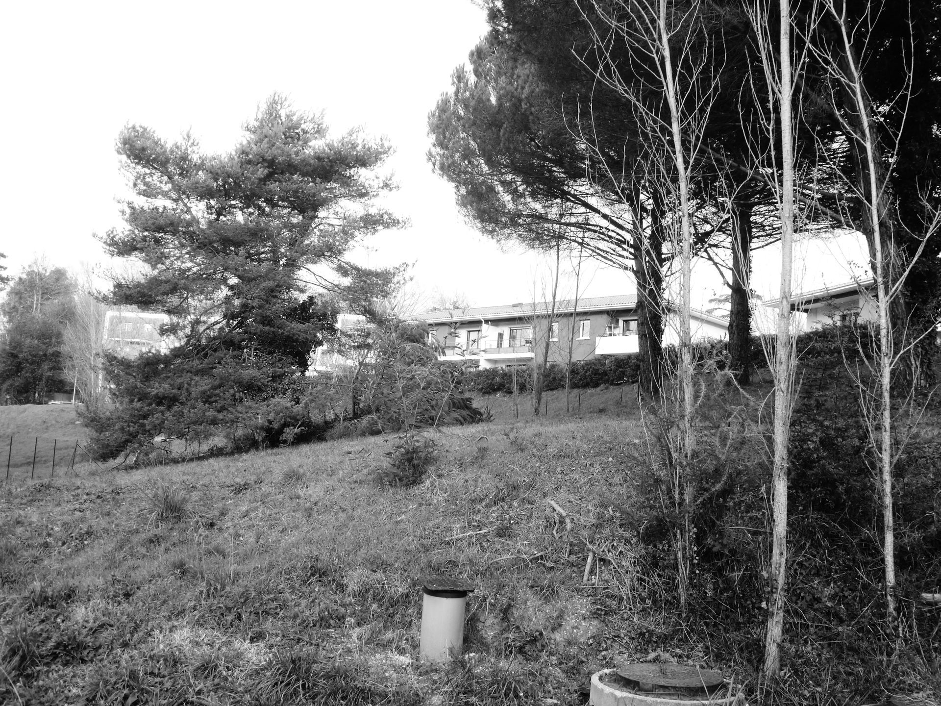 Terrain vague en pente