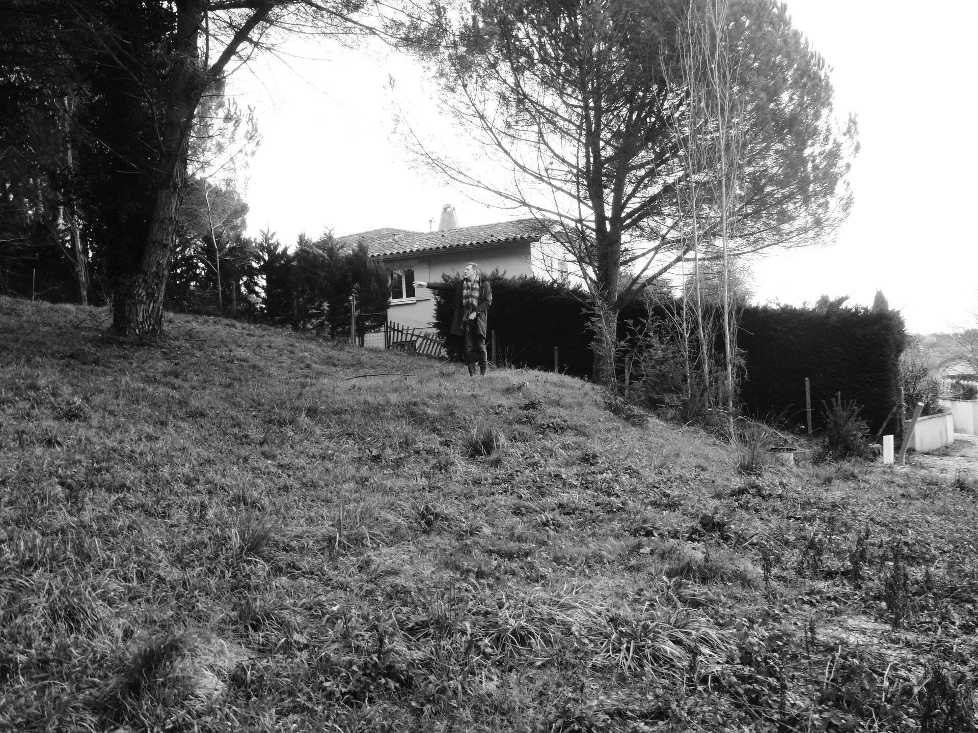 Photo noir et blanc d'un jardin