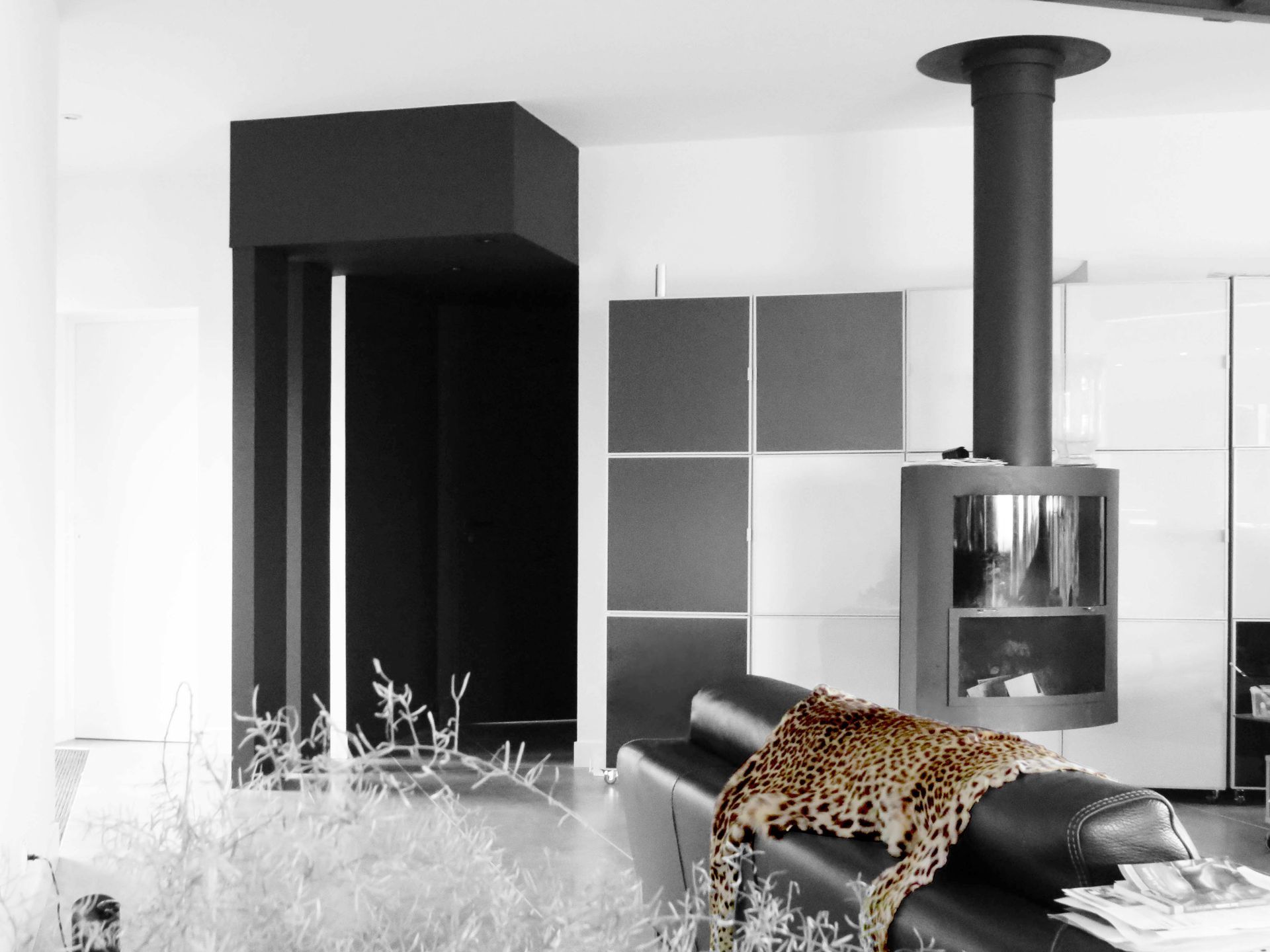 Peau de léopard sur canapé