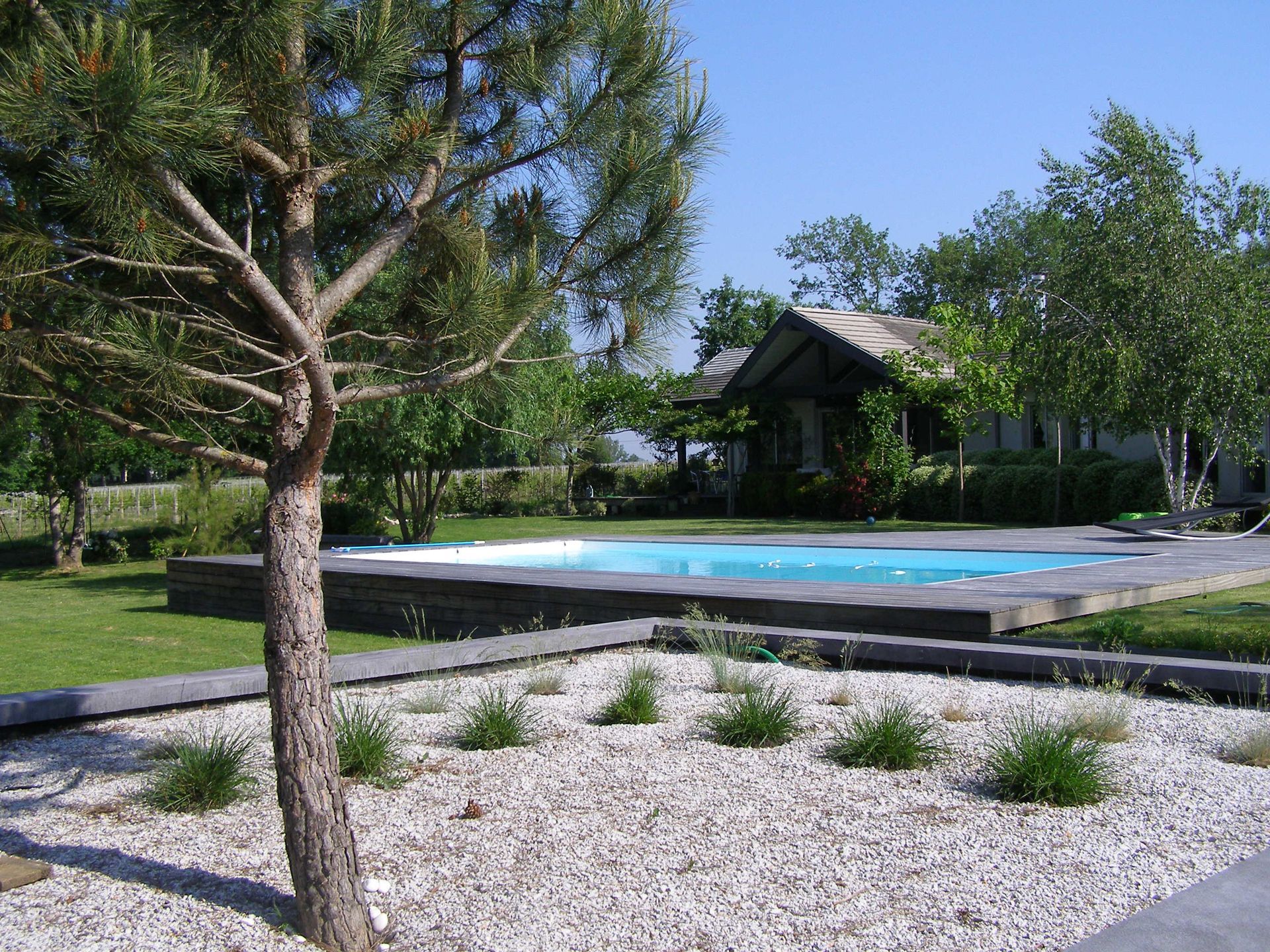 Piscine derrière un arbre