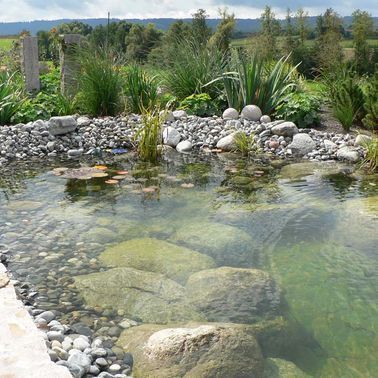 Dekosteine am Teich