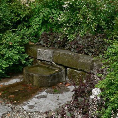 Wasserspiel mit Pflanzen