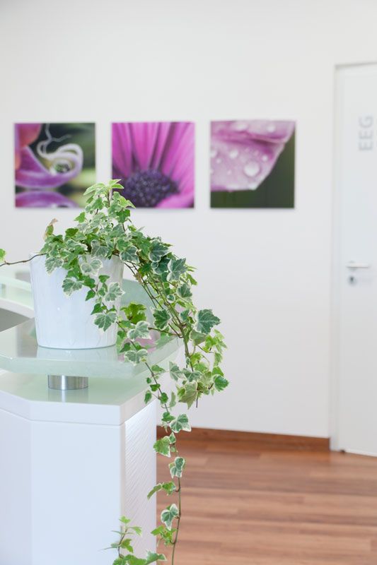 Neurologische Privatpraxis Nürnberg, Dr. med. Jiri Bernatik, Foto Galerie Empfang