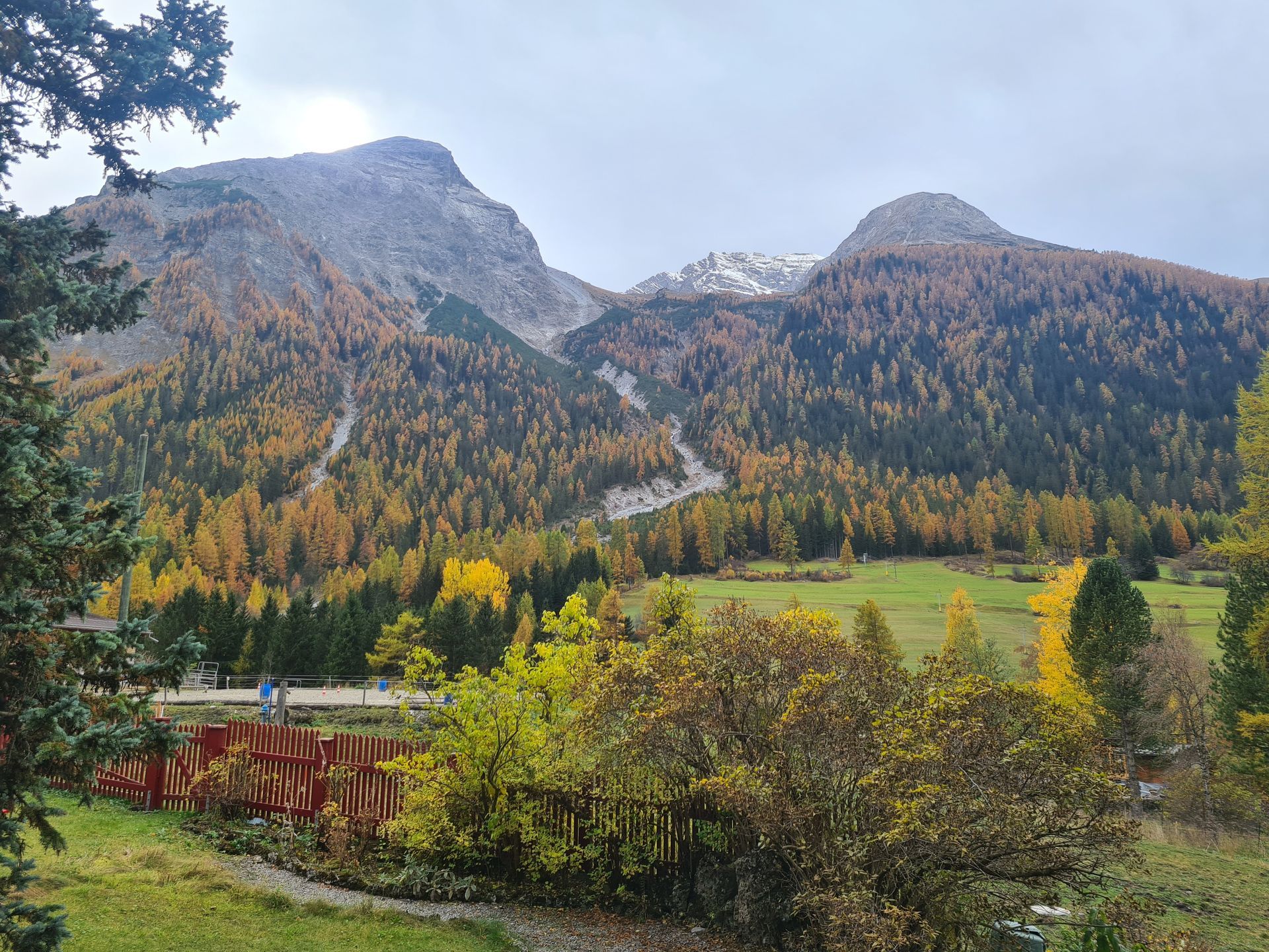 Bergpanorama mit goldenen Lärchen
