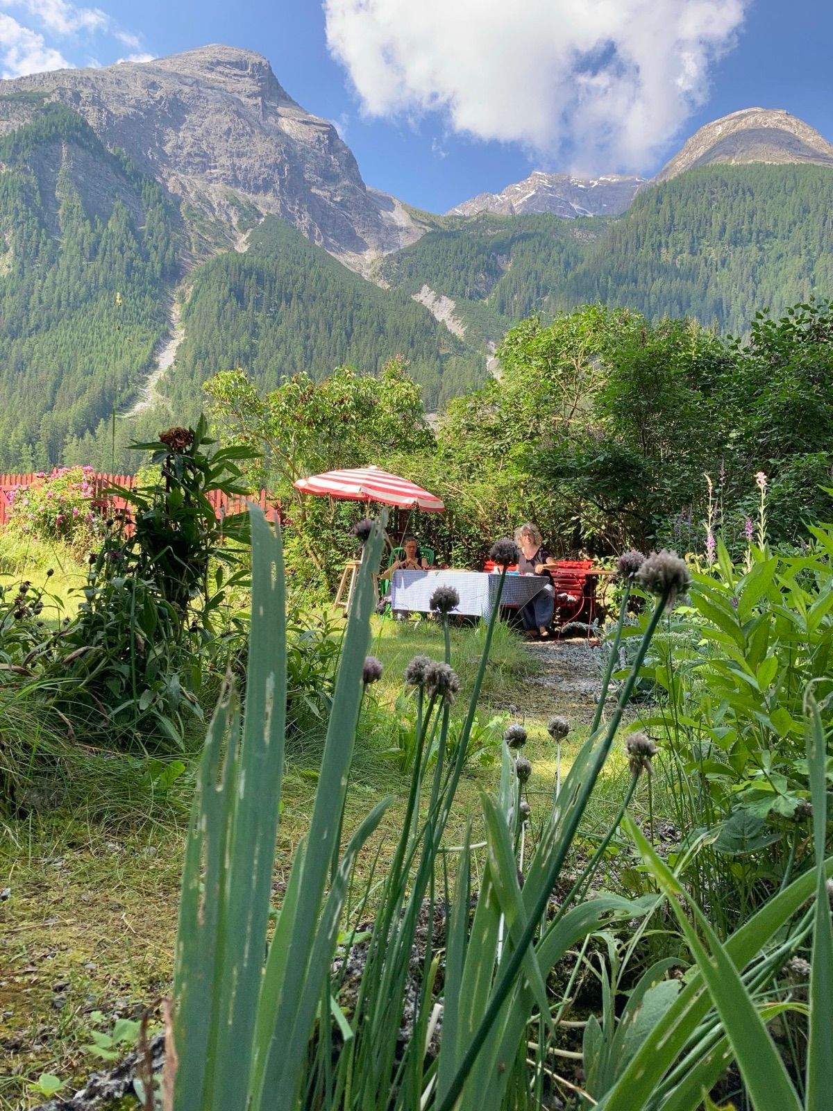 Blick in einen üppigen Garten mit Aussicht auf Berge, dahinter blauer Himmel