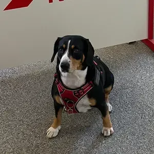 Platzhalterbild für eine Person