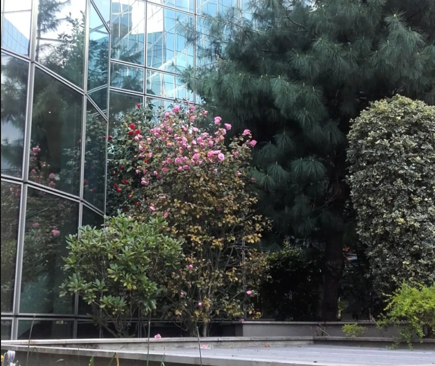 Aménagement de patio