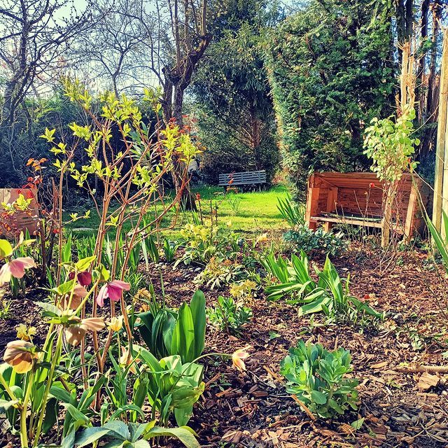 Entretien de potager