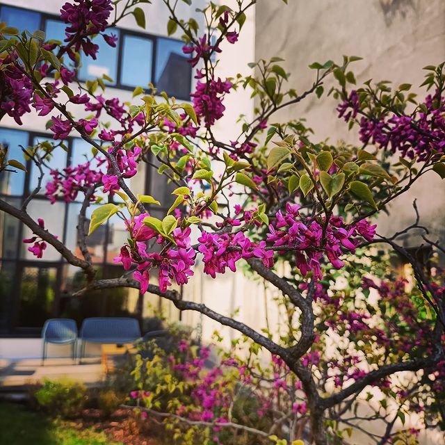 Entretien des plantes