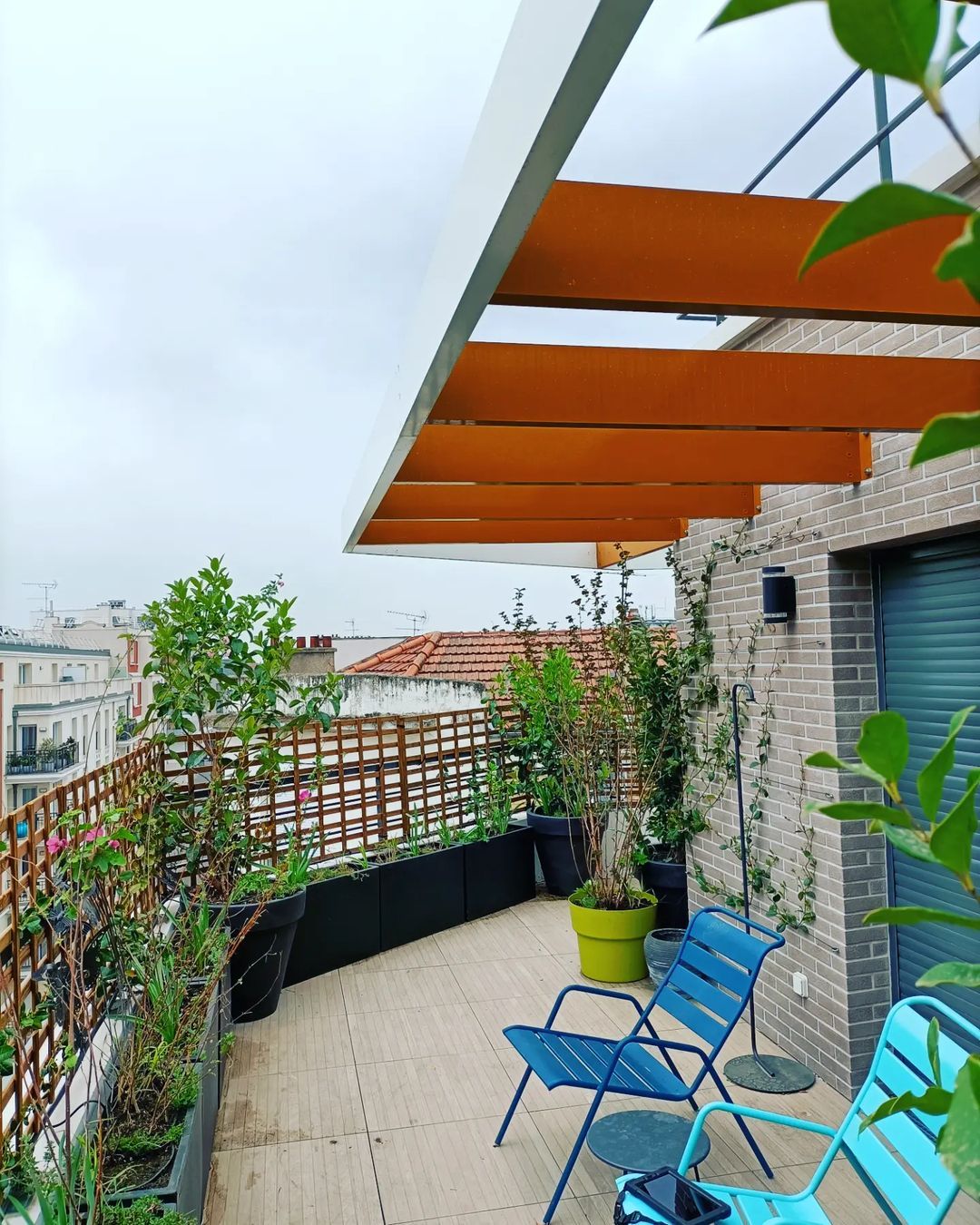 Entretien de plantes sur une terrasse